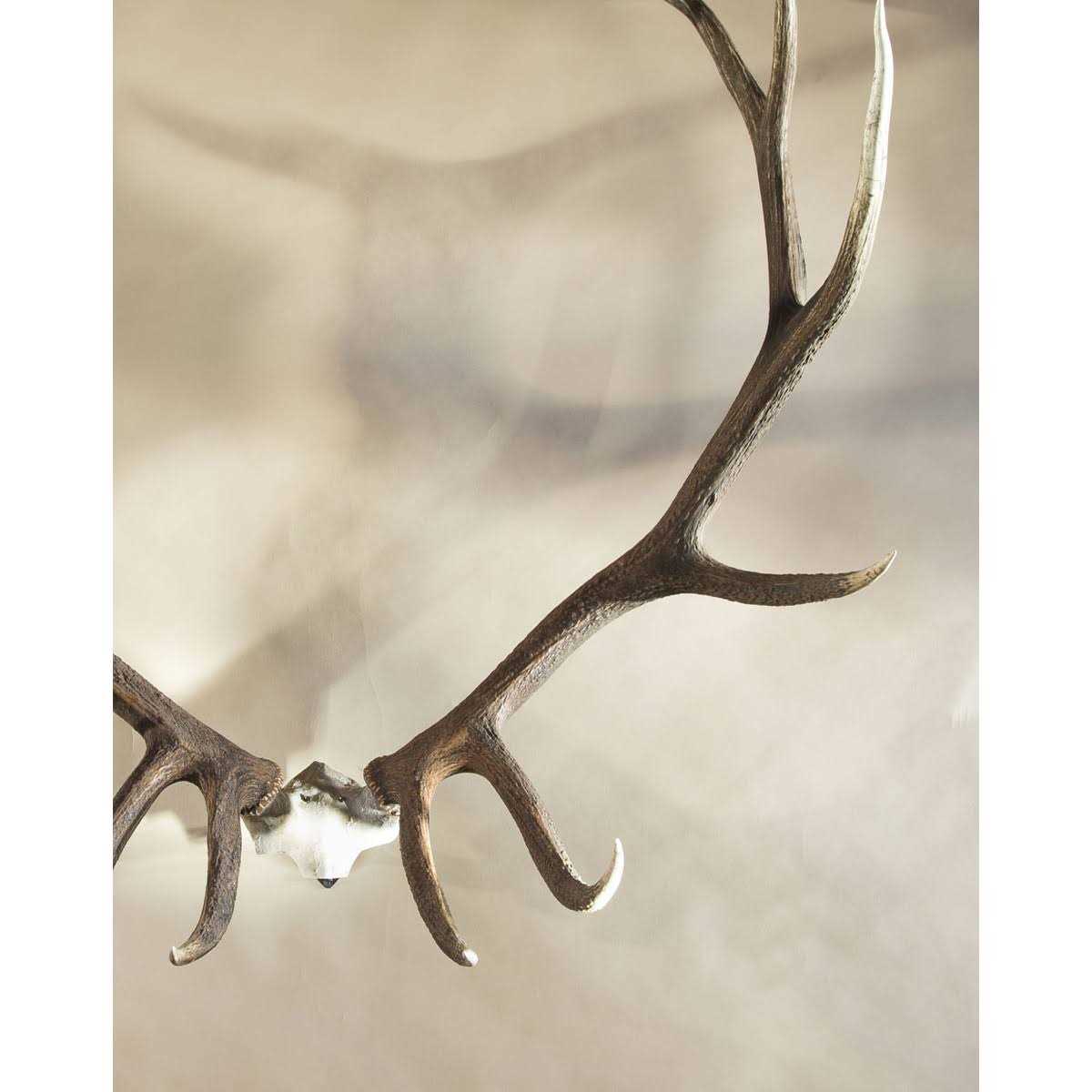 Skull Hooker Bone Bracket XXL - Image 3