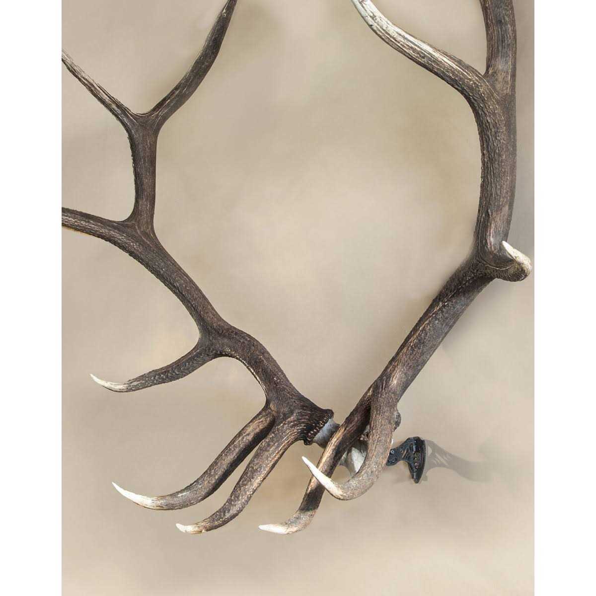 Skull Hooker Bone Bracket XXL - Image 5