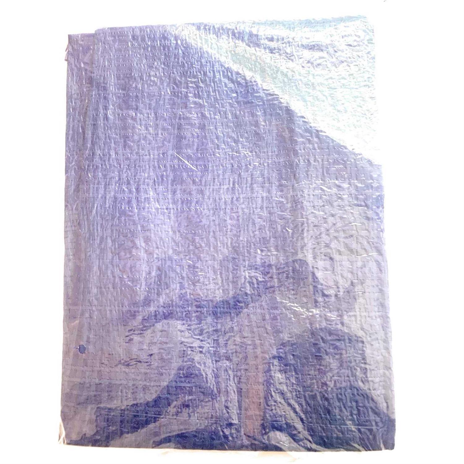 Tool Bench Hardware 4' x 6' Blue Tarpaulin - Image 2