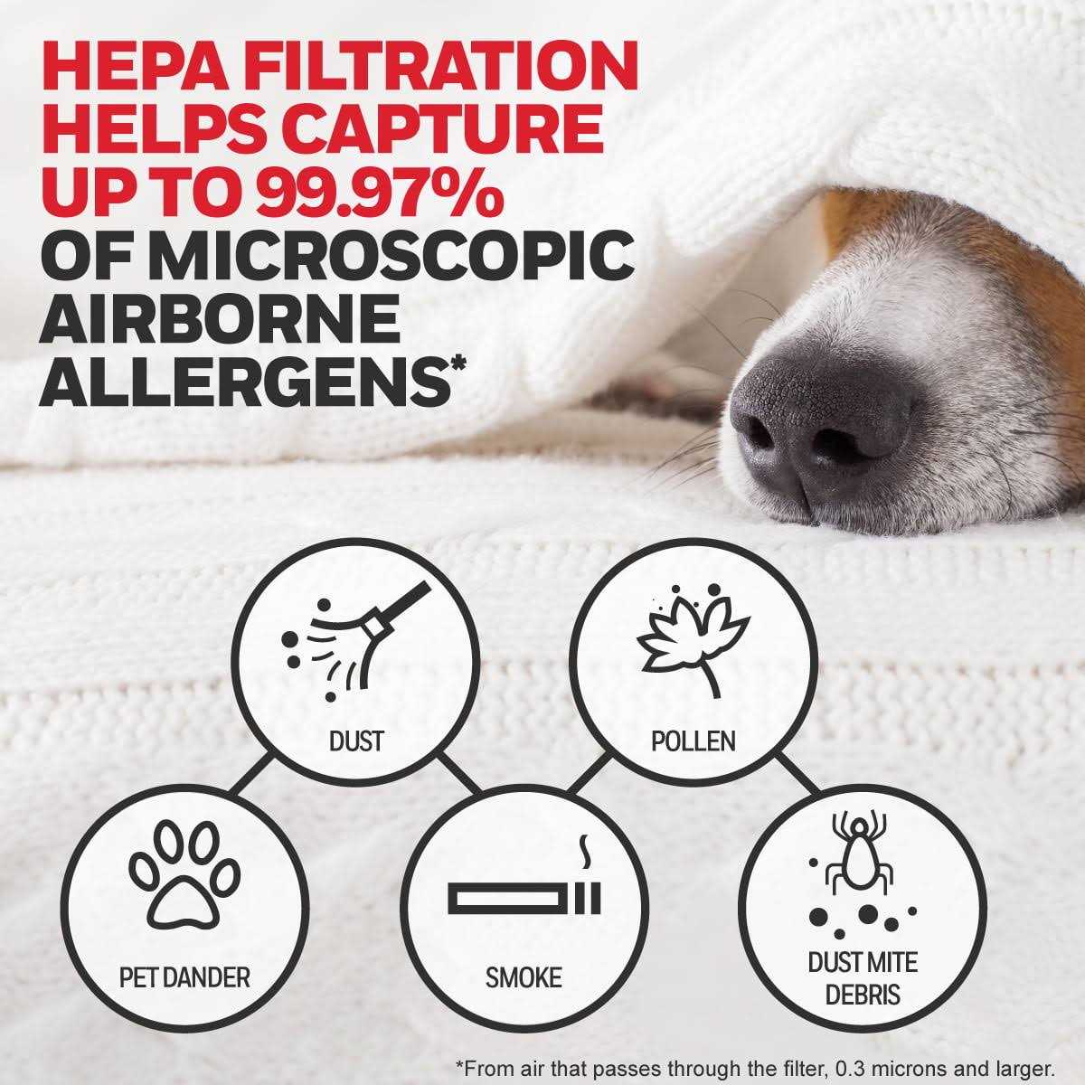 Honeywell HRFARVP200 Air Filter - Image 2