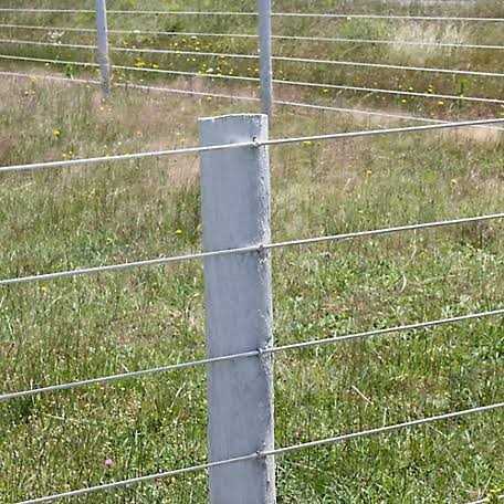 Sure-Fit 1-3/4 in. Galvanized Barbed Staple - Image 4