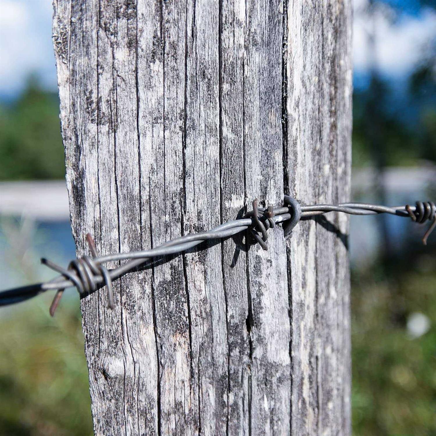 AccEncyc Wire Staples Steel Fence Staple Nails U Shaped Nails U Staples for Fencing - Image 5