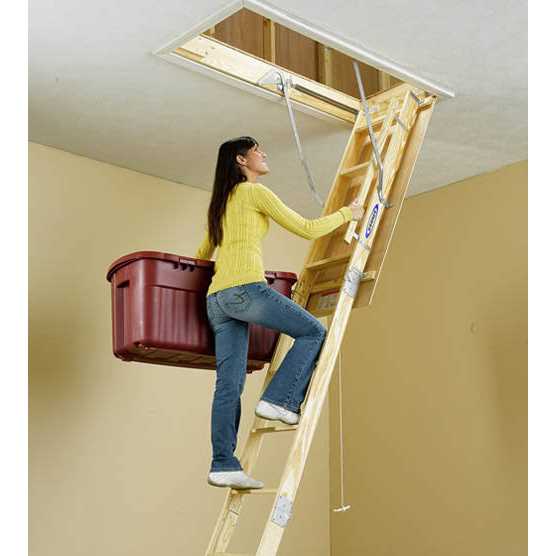 Werner 55-1 Attic Ladder Replacement Hinges - Image 3