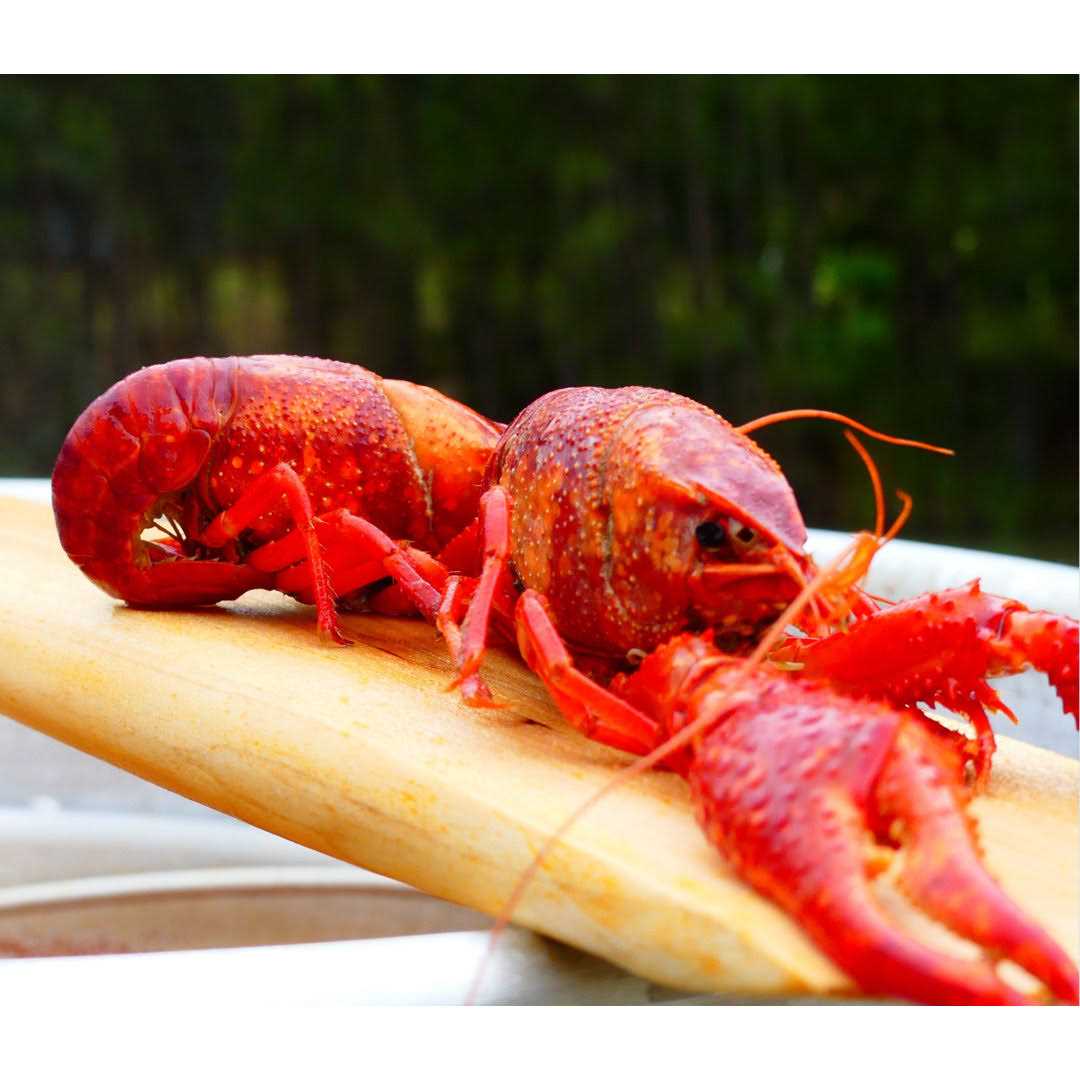 Bayou Classic 35-In Wooden Cajun Stir Paddle - Image 3