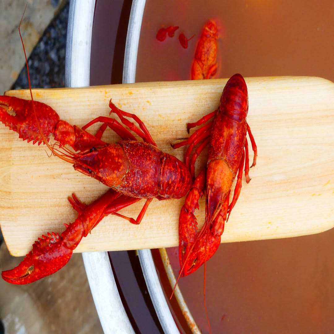 Bayou Classic 35-In Wooden Cajun Stir Paddle - Image 4