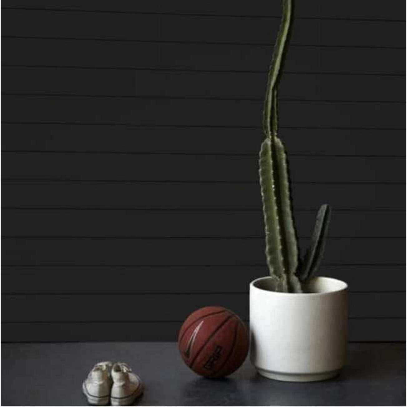 Timeline Shiplap 5-1/2 Wide Wood Wall Paneling TL00971 - Image 4