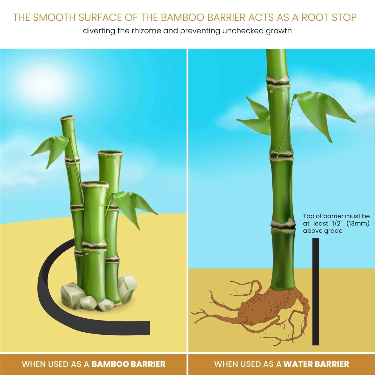 DeepRoot Water Barrier/Bamboo Barrier Geomembrane - Image 5