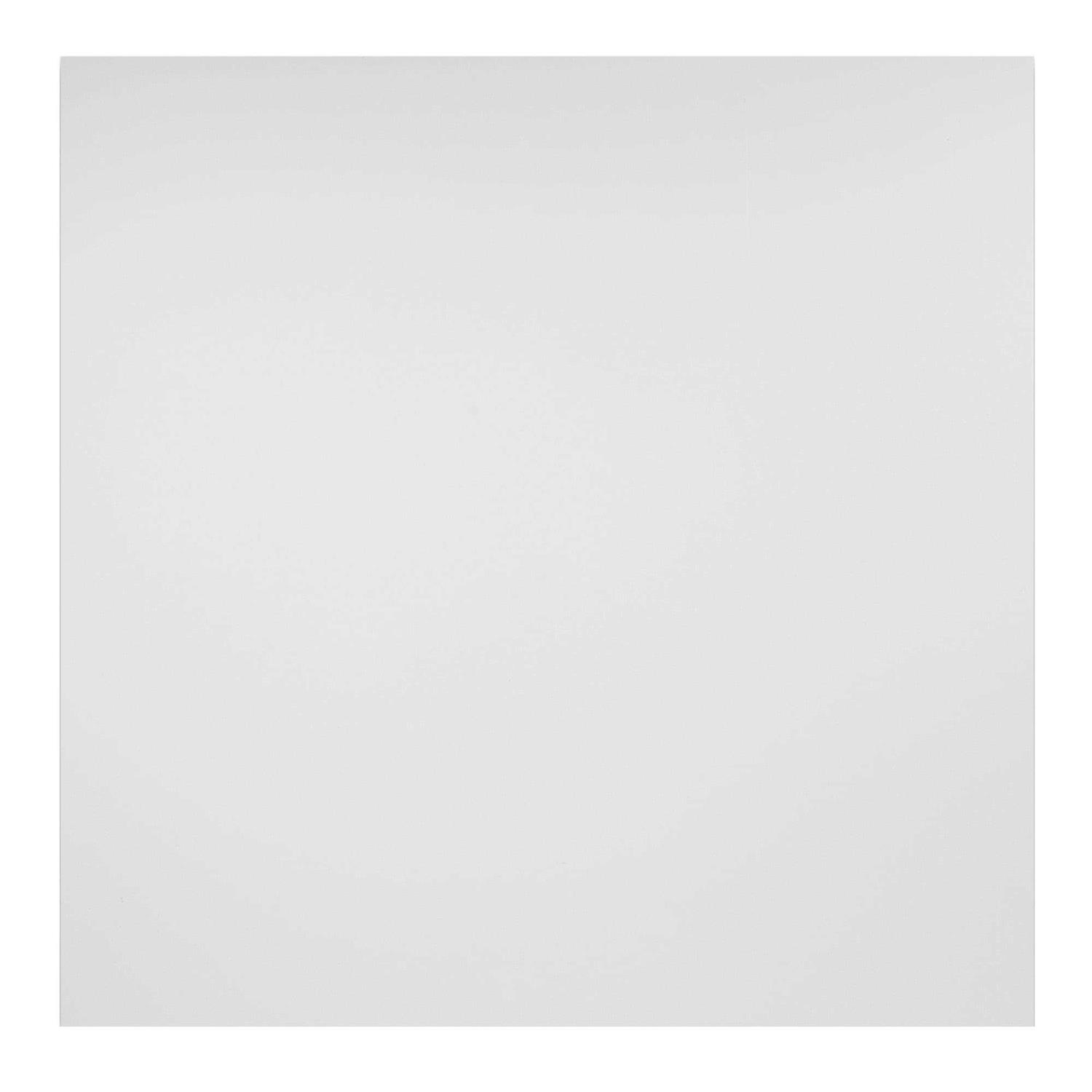 Genesis 2ft x 2ft Border Fill White Lay In Ceiling Tile 75600