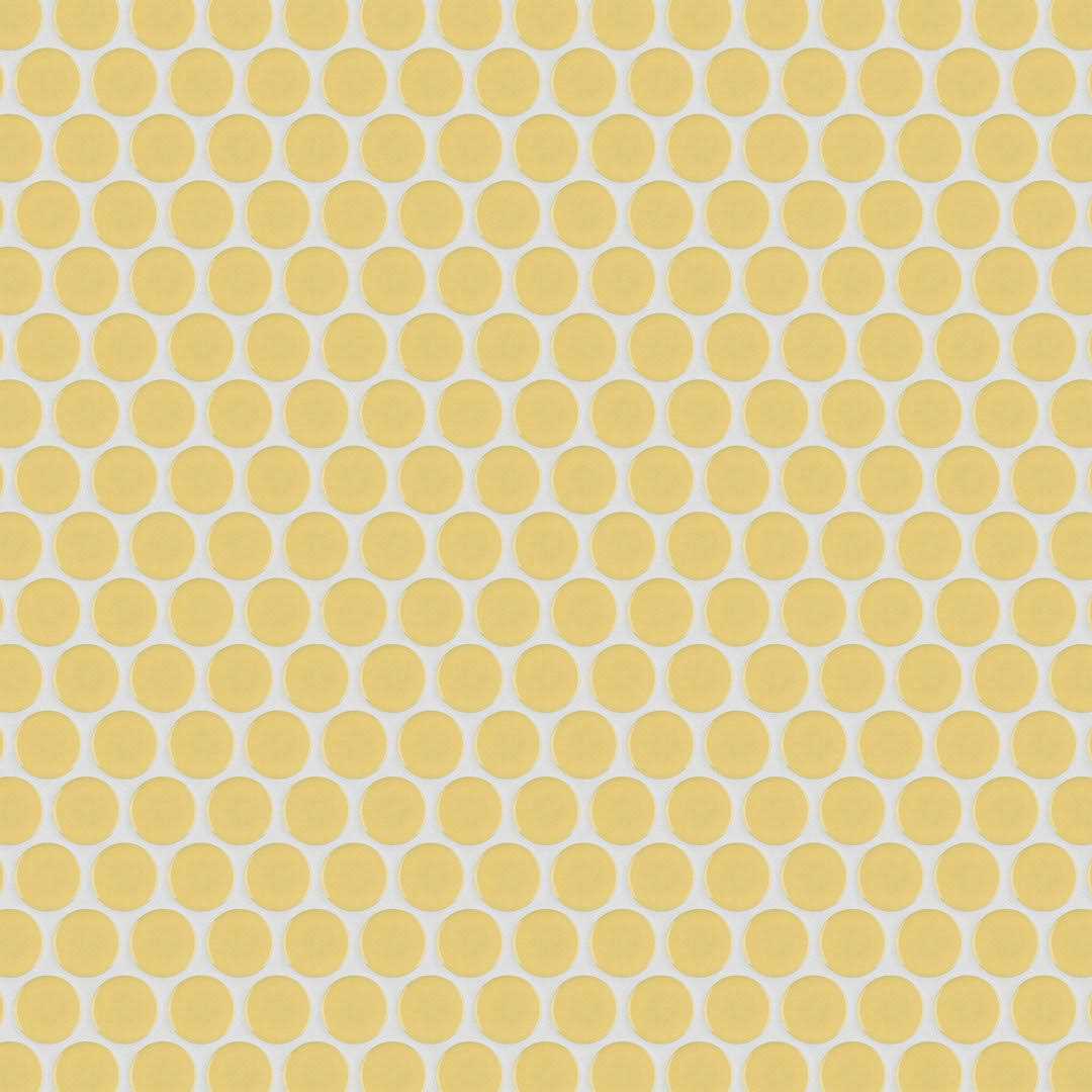 Hudson Penny Round .80 x .80 Porcelain Penny Round Mosaic Wall & Floor Tile Merola Tile - Image 4