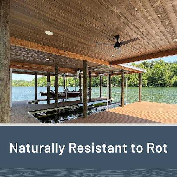 UFP-Edge Thermally Modified Wood 1 in. x 6 in. x 8 ft. Tongue and Groove Boards - Image 3