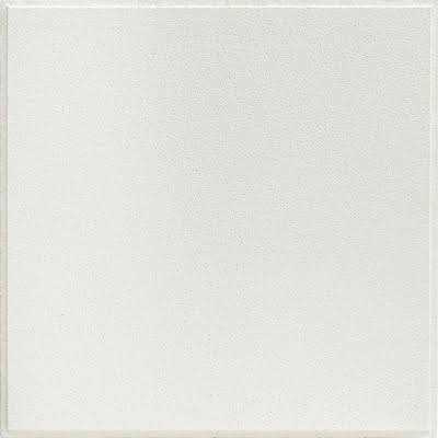 USG Ceilings USG Olympia ClimaPlus Ceiling Panels - Image 3