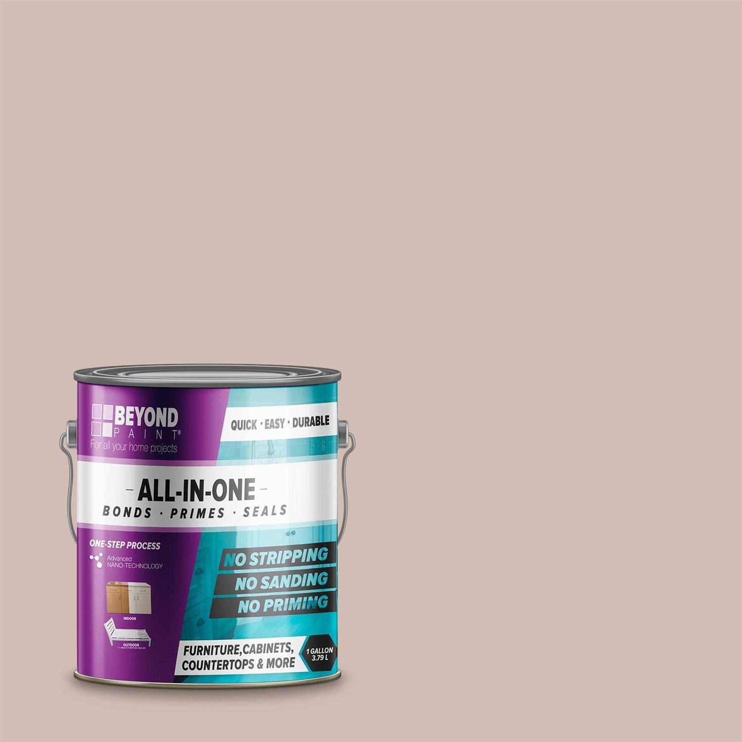 Beyond Paint All-in-One Paint