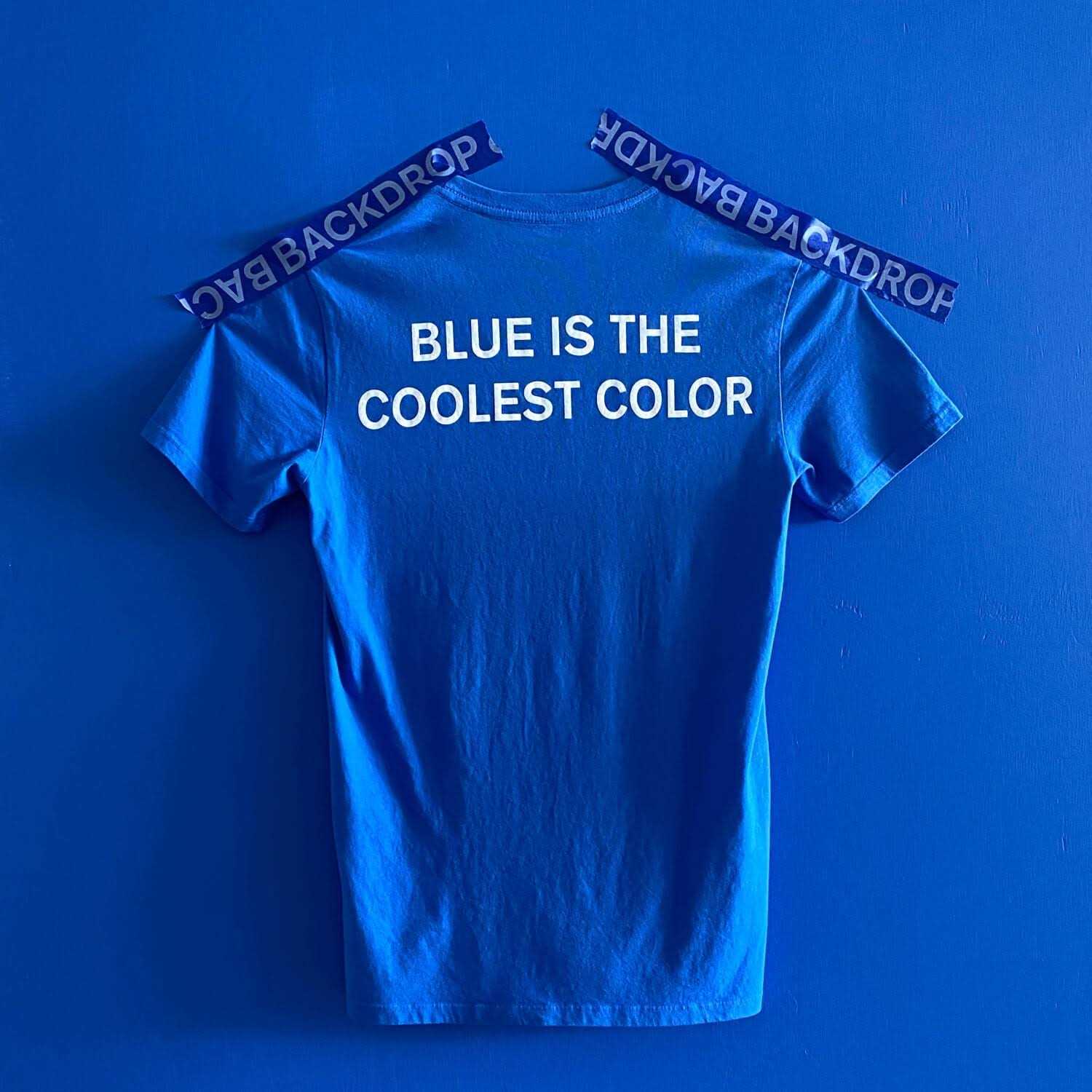 Backdrop Premium Interior Paint Semi-Gloss Finish - Image 4