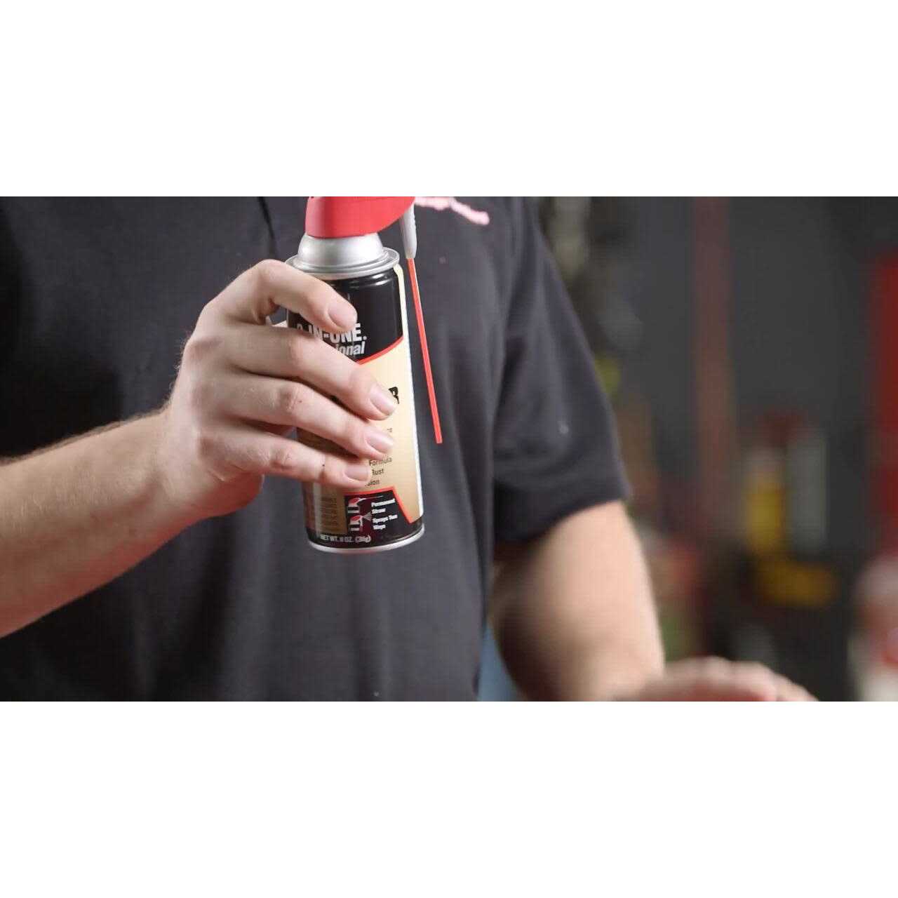 3-in-one Garage Door Lubricant - Image 5