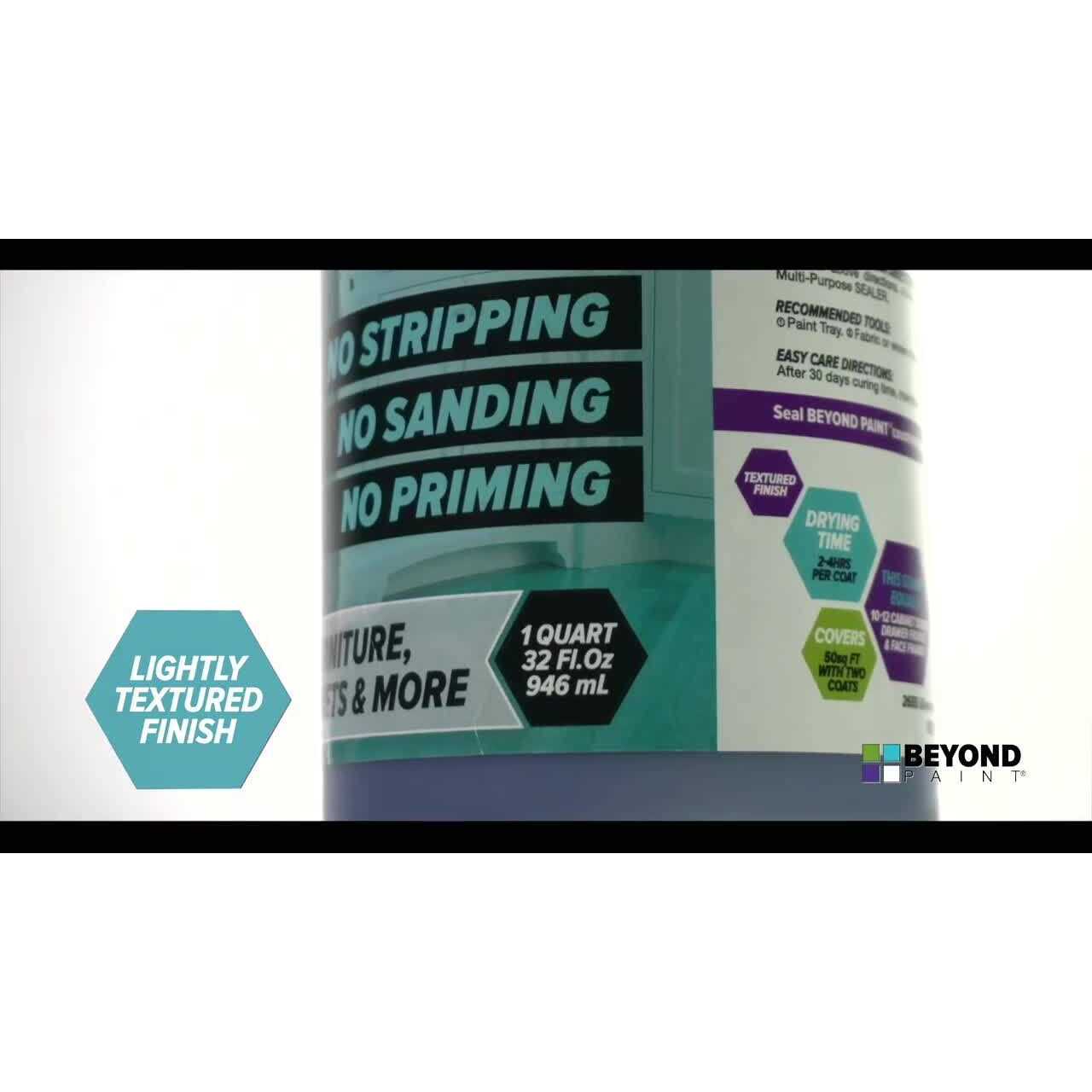 Beyond Paint All-in-1 Paint - Image 2