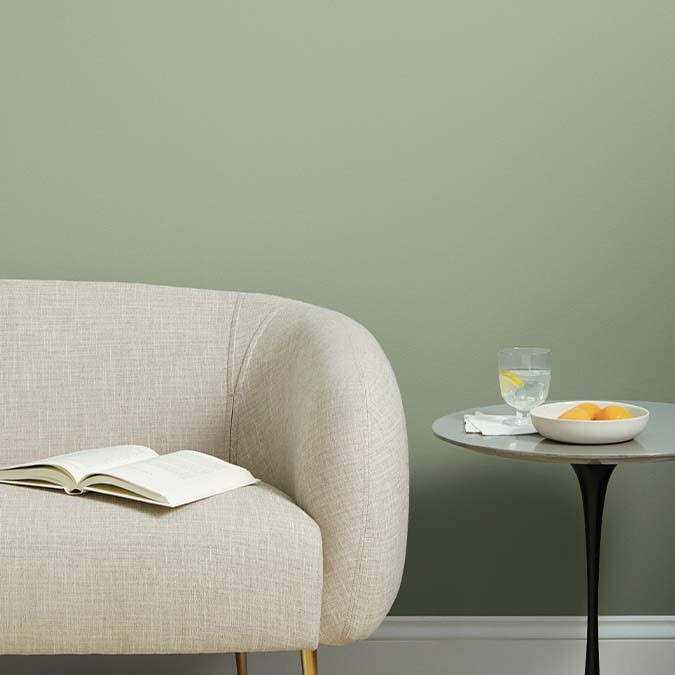 Clare Paint - Image 3