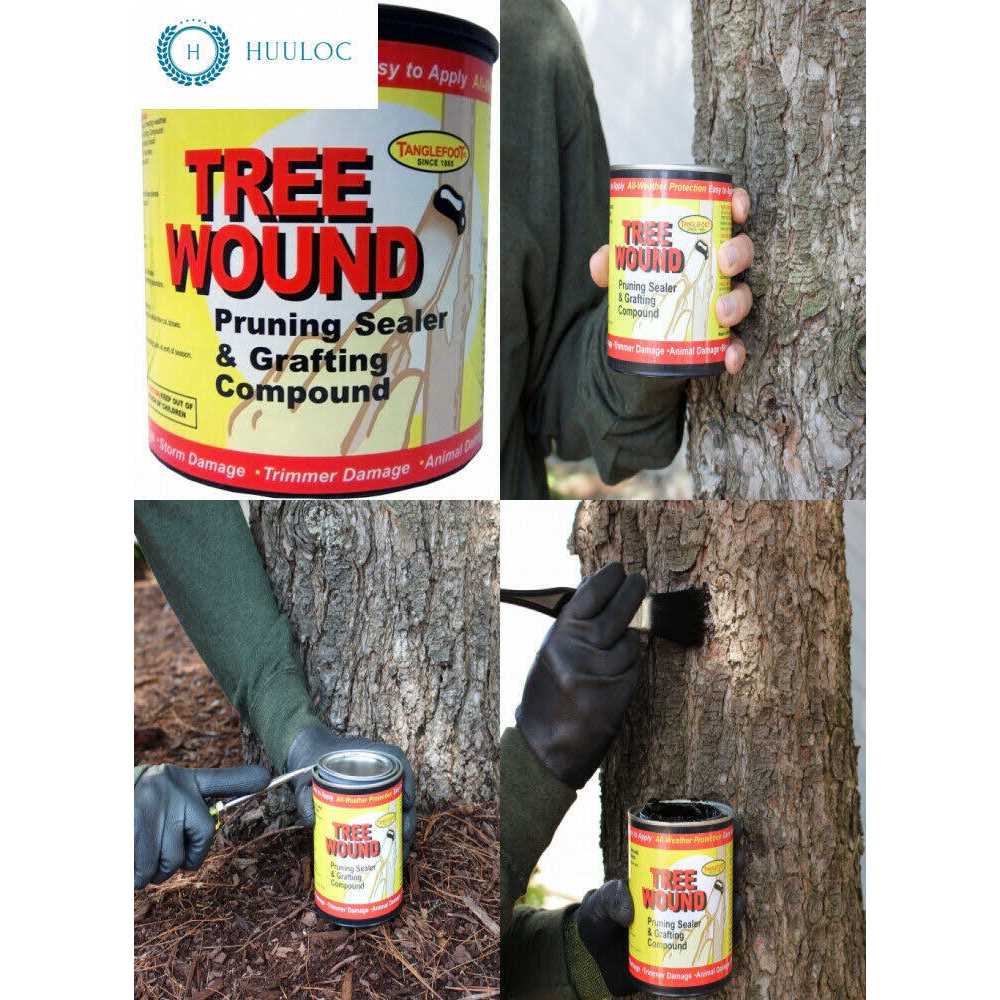 Tanglefoot Tree Wound Pruning Sealer & Grafting Compound - Image 3