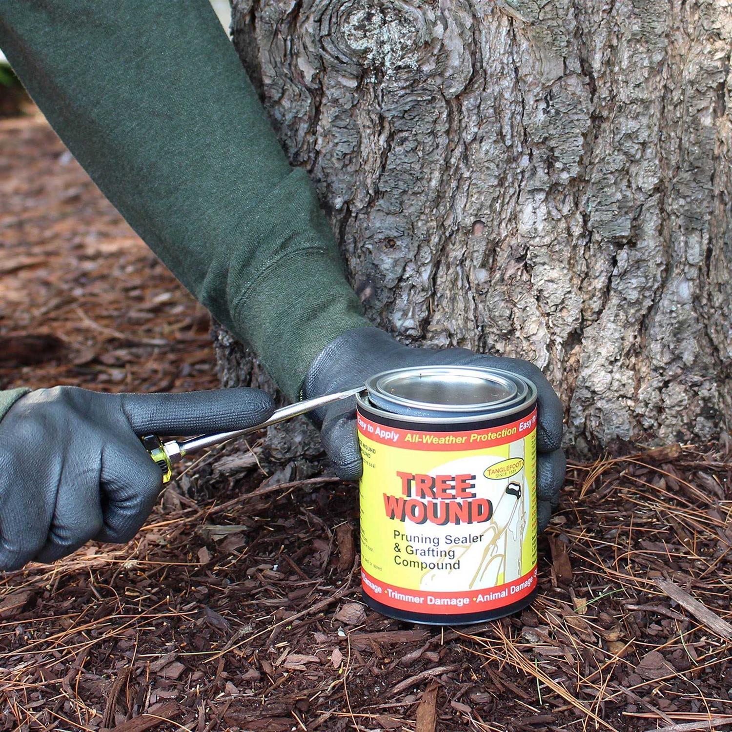 Tanglefoot Tree Wound Pruning Sealer & Grafting Compound - Image 4