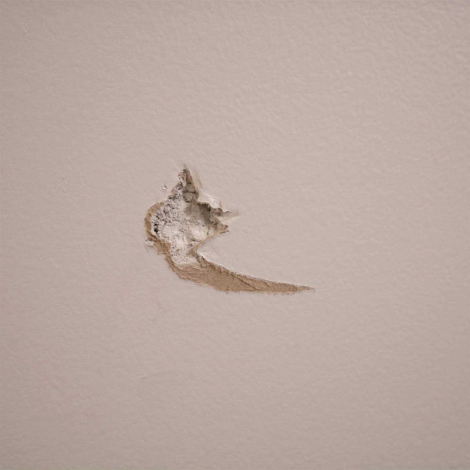 Alex Plus Dap Spackling - Image 3