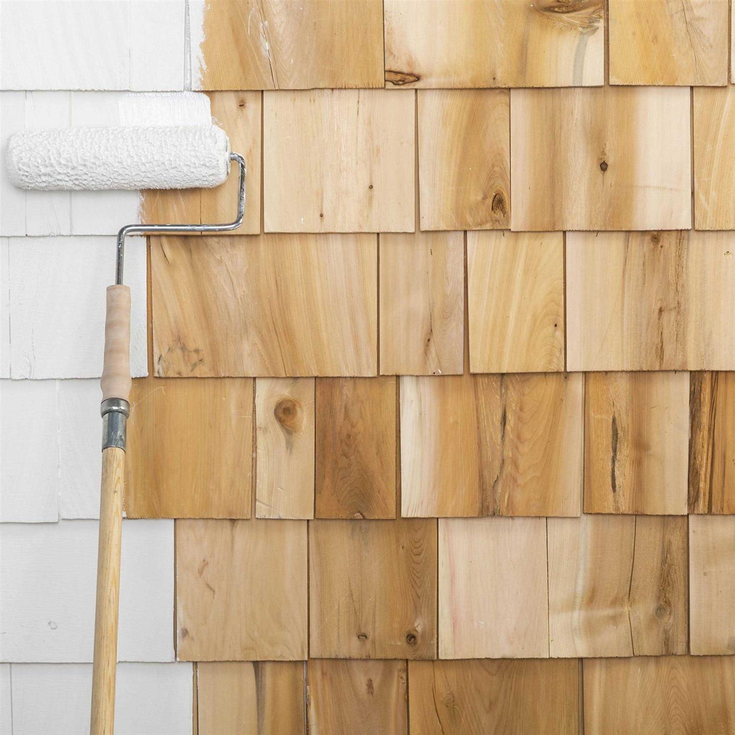 Zinsser 1 gal. Cover Stain Primer - Image 5