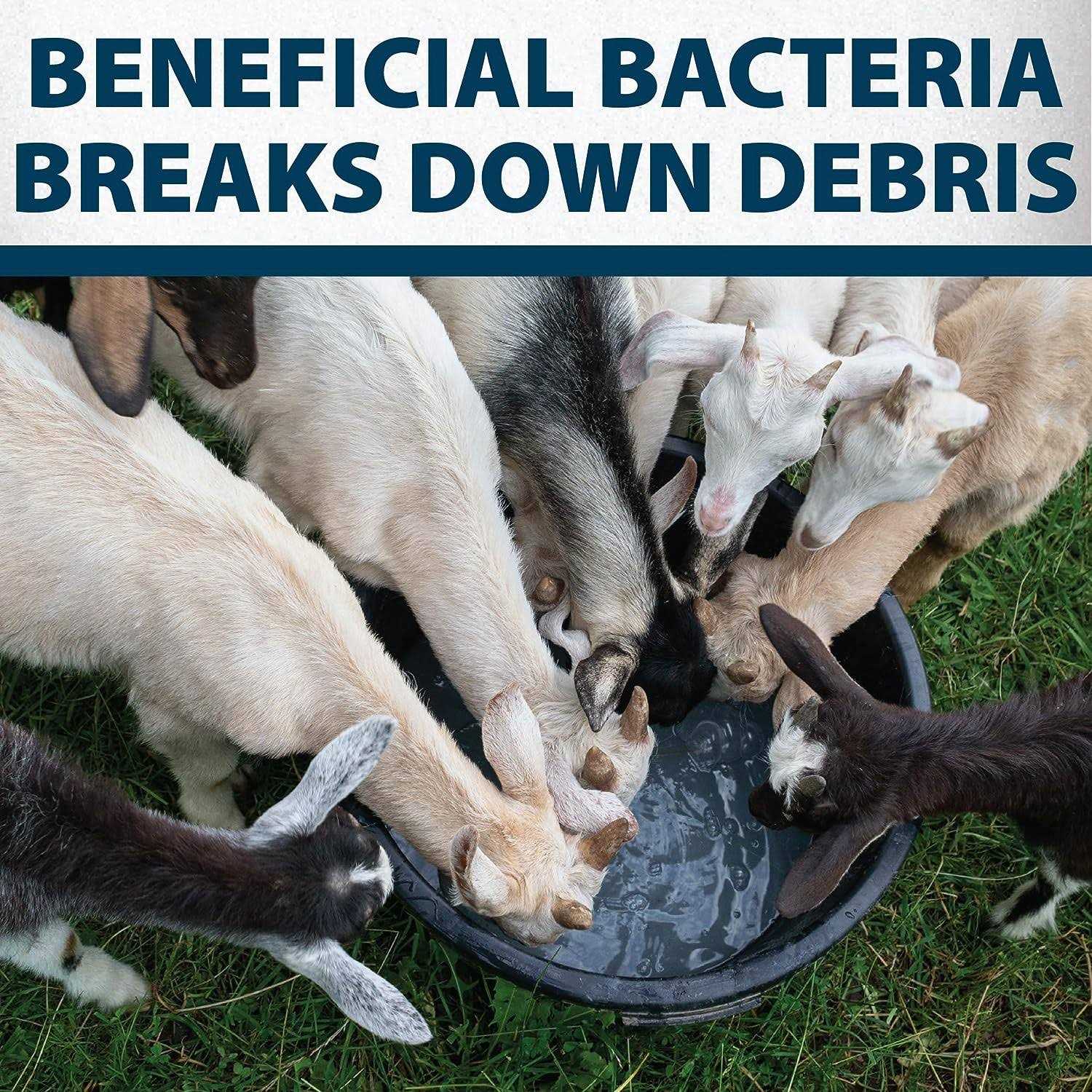 Airmax Stock Tank Defense - Image 3