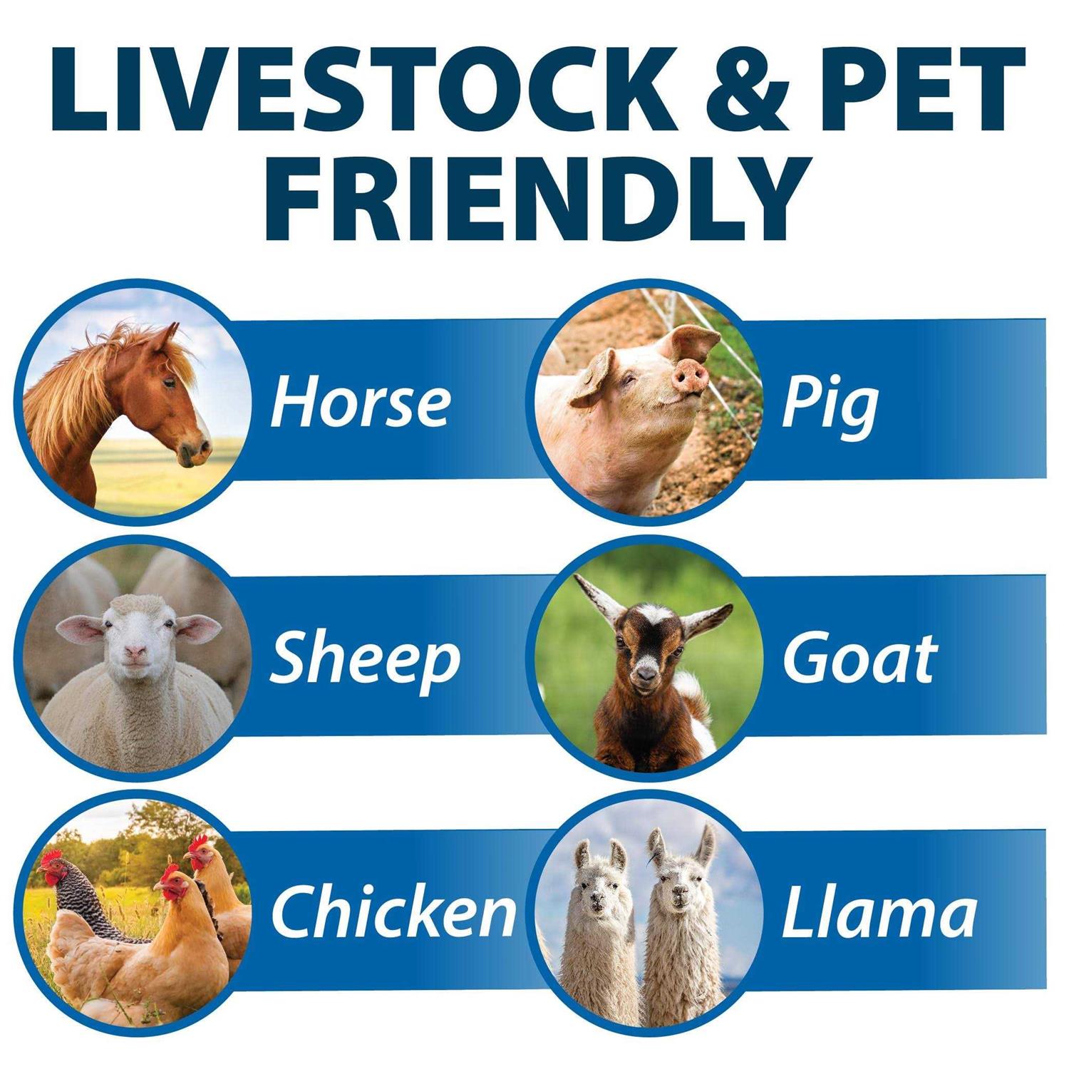 Airmax Stock Tank Defense - Image 4