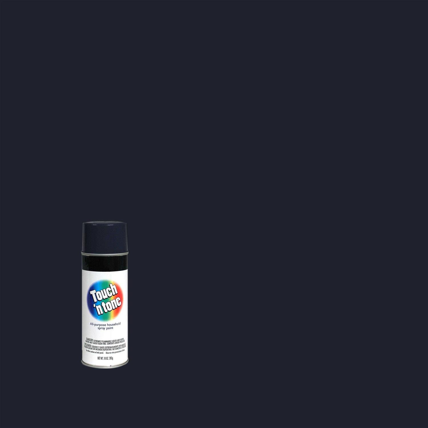 Touch N Tone Spray Paint - Image 3