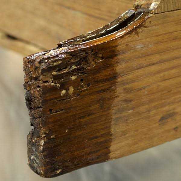 TotalBoat Penetrating Epoxy Sealer Cold Weather - Image 3