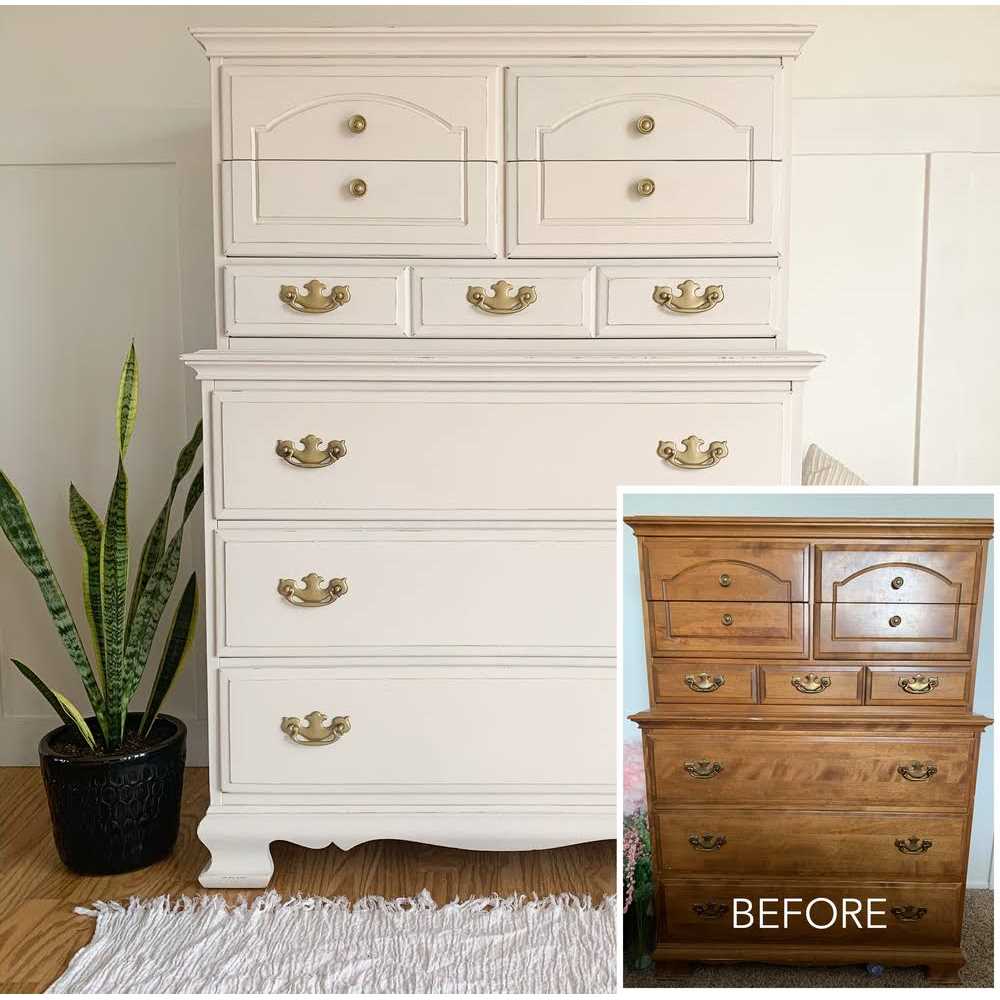 BB Frosch Paint Transformer Paint Powder Mineral Paint for Furniture - Image 3