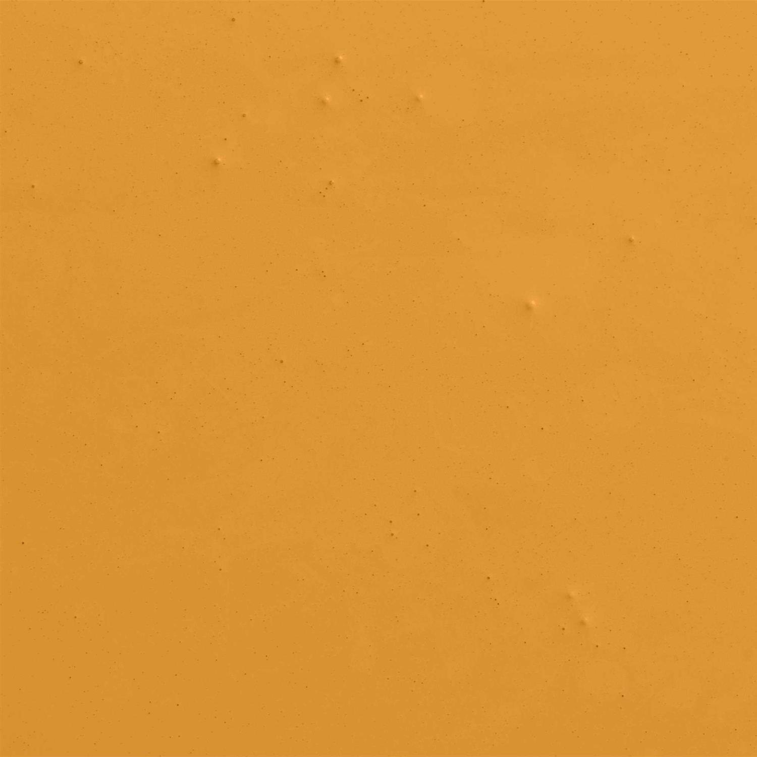 BACKDROP COLOR OF THE YEAR Paint / Half Gallon - Image 3