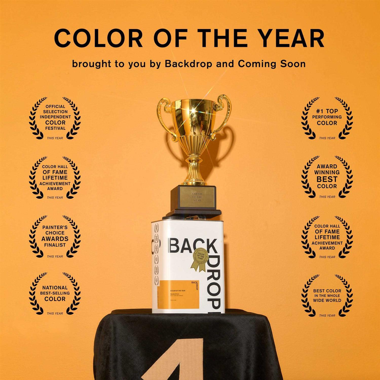 BACKDROP COLOR OF THE YEAR Paint / Half Gallon - Image 5