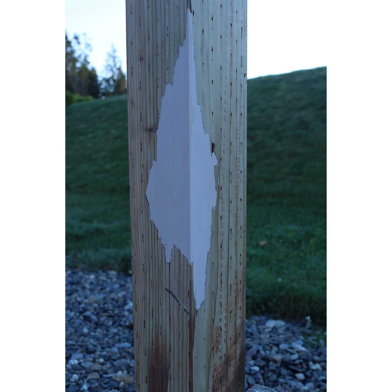 System Three SculpWood Max Putty - Image 4