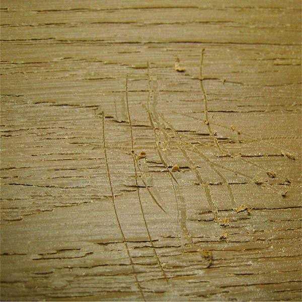 NewTechWood DeScratch Composite Decking Repair Kit - Image 3