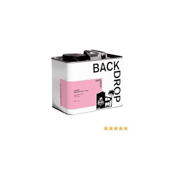 Backdrop BARBIE DREAMHOUSE PINK Paint - Image 3