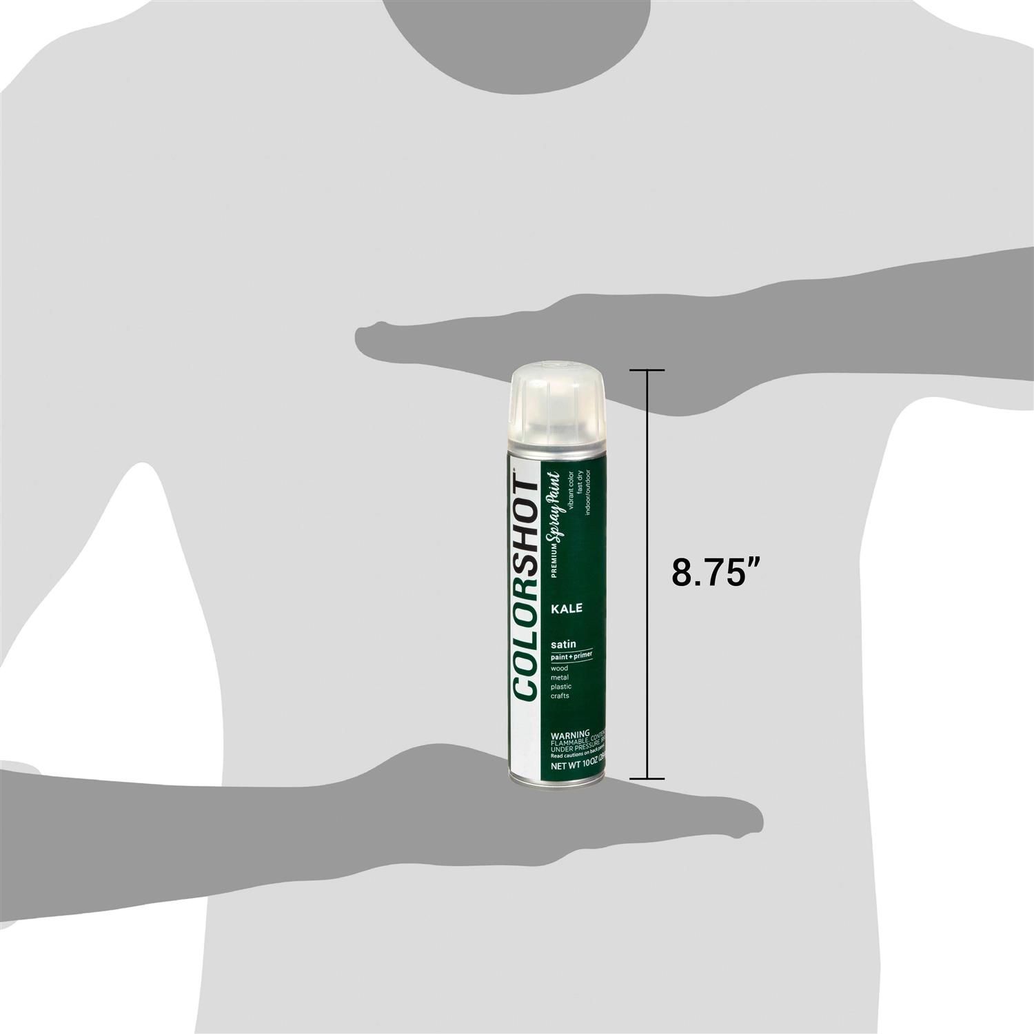 Colorshot Aerosol Spray Paint Kale - Image 3