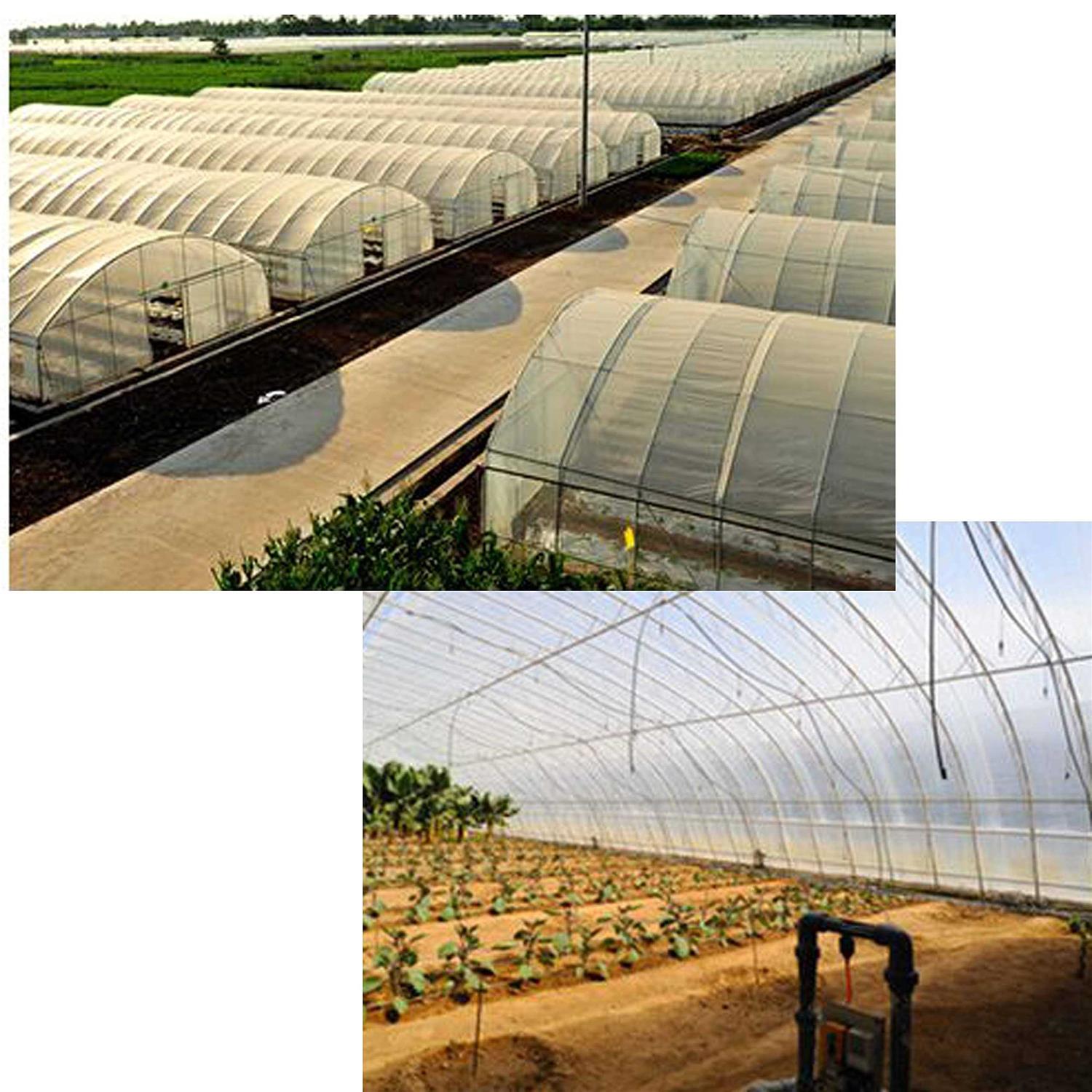 TEXALAN Greenhouse Repair Tape - Image 3