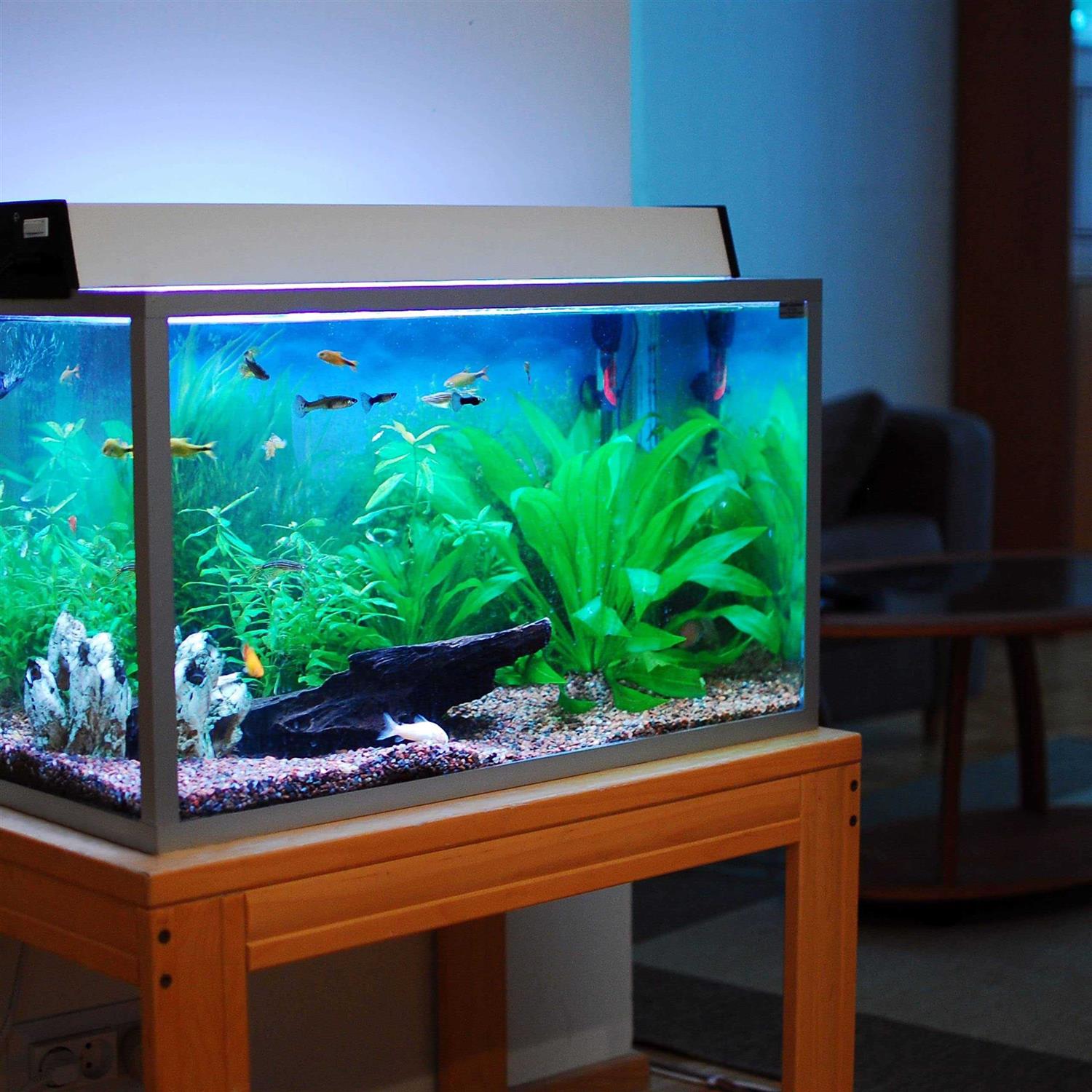 Akfix 100AQ Aquarium Safe Silicone Sealant Waterproof Bond to Glass - Image 4