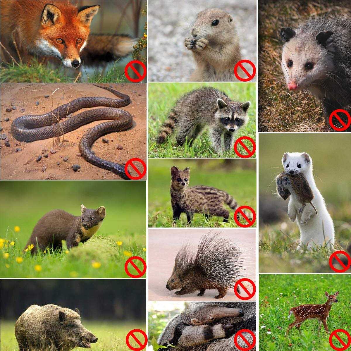 Seboss Hardware Cloth 1/2 inch 19 Gauge Hot Dip Galvanized After Welding - Image 3