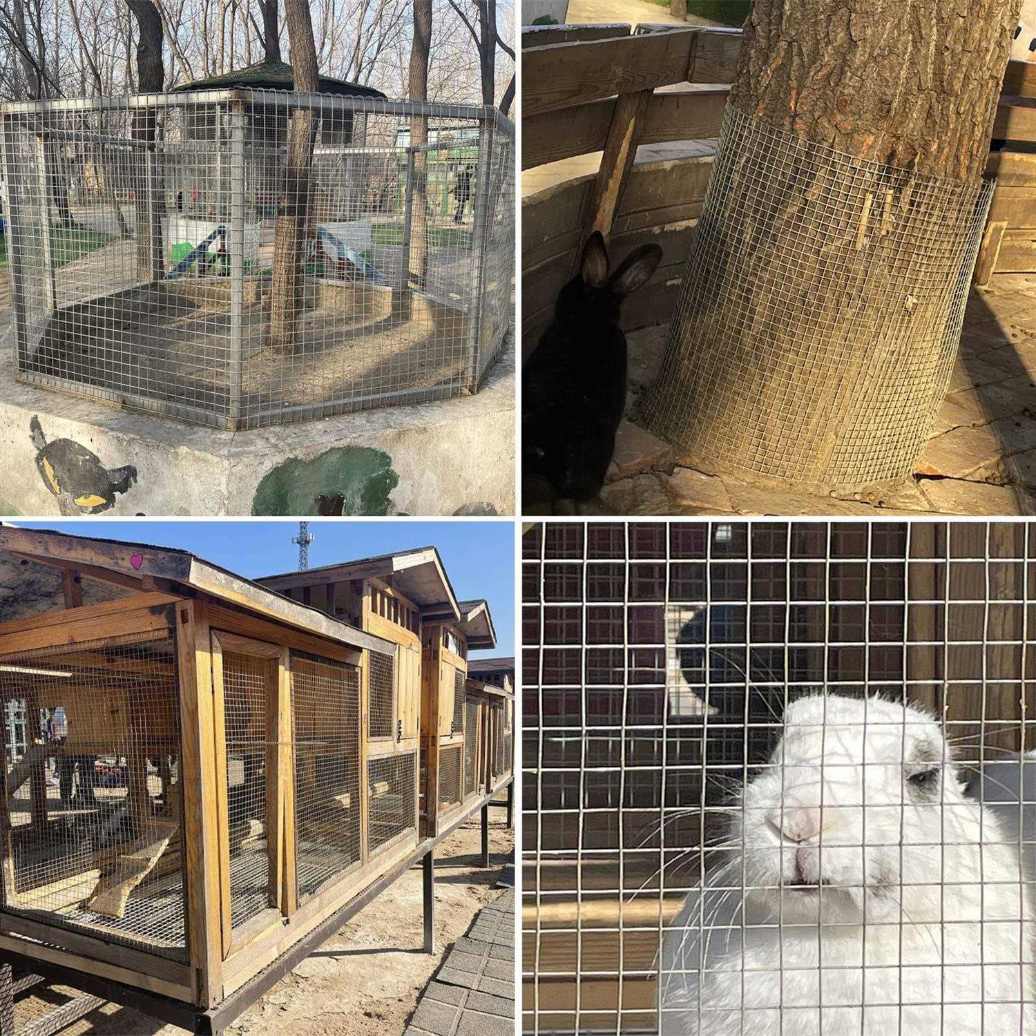 Seboss Hardware Cloth 1/2 inch 19 Gauge Hot Dip Galvanized After Welding - Image 4