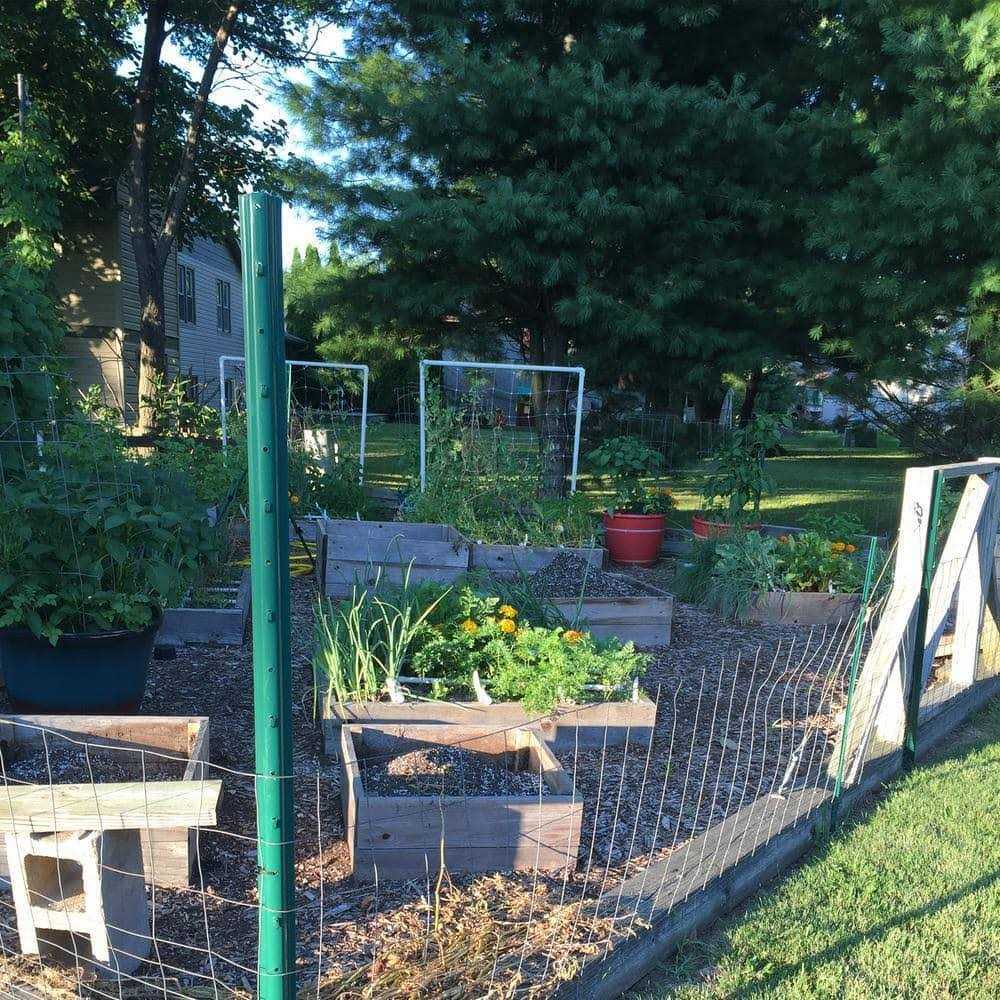 Everbilt 3 in. x 3 in. x 6 ft. Green Steel Fench Heavy Duty U-Post with Anchor Plate - Image 4