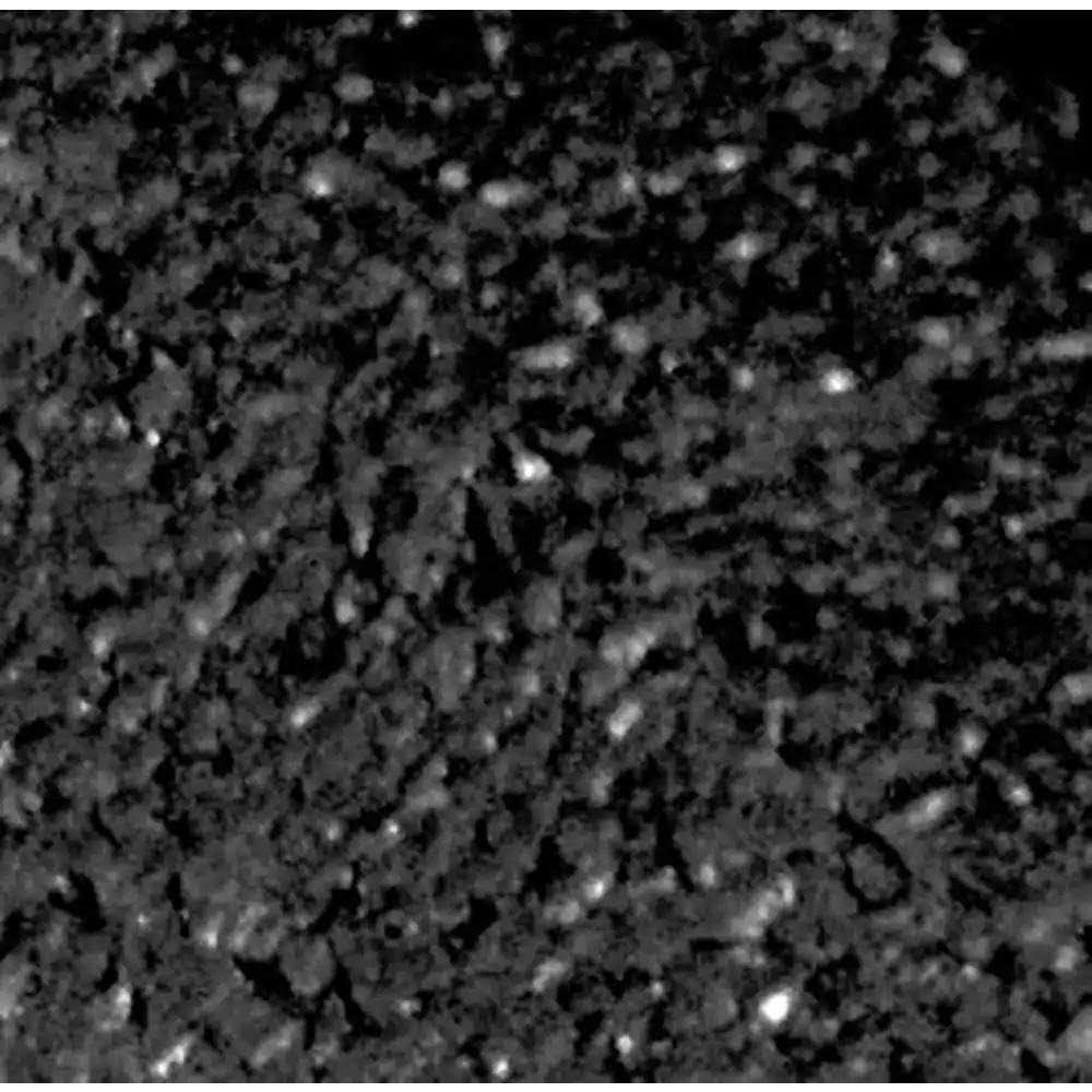 EcoBorder 4 ft Rubber Curb Landscape Edging - Image 3