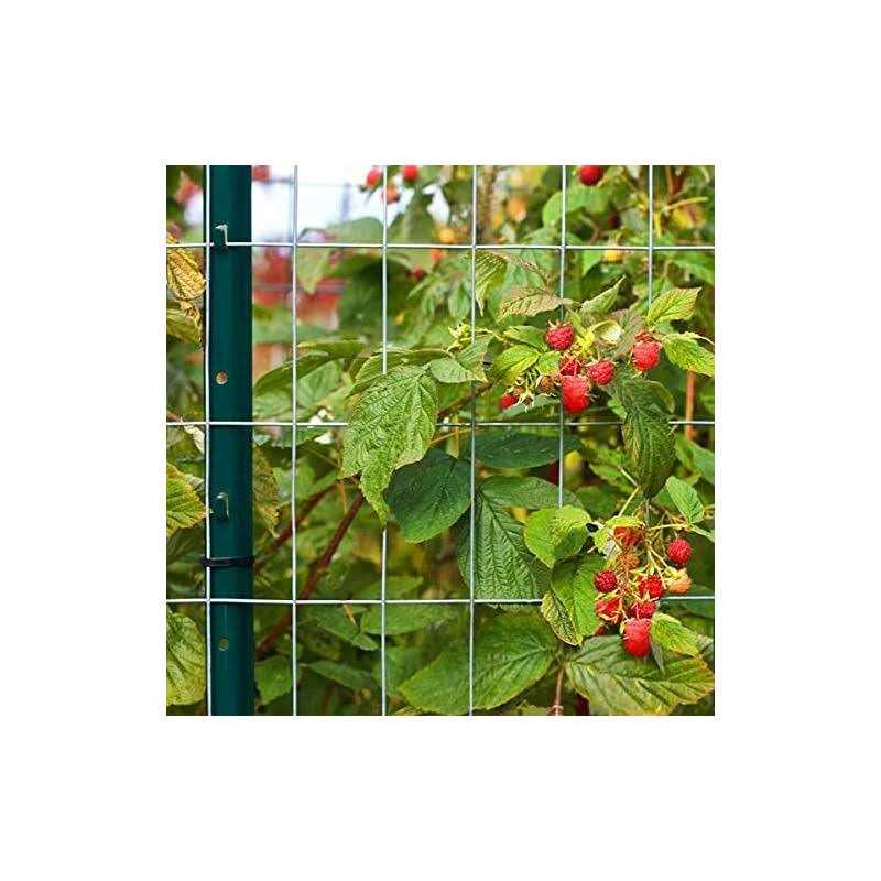 Vasgor Sturdy Duty Metal Fence Post Garden U Post for Fencing - Image 3