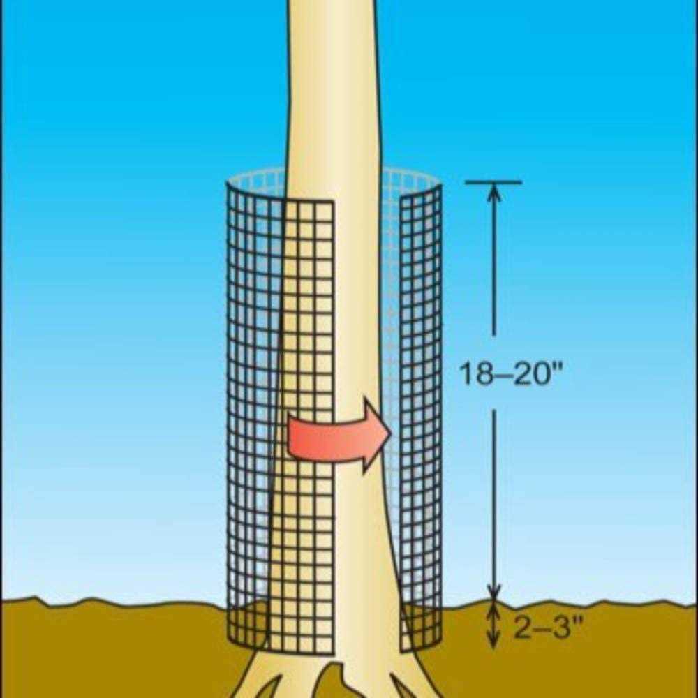 AMAGABELI Garden & HOME Hardware Cloth 1/2 inch 48inx50ft 19 Gauge Square Chicken Wire Galvanizing After Welding Fence Mesh Roll Raised Garden bed - Image 3