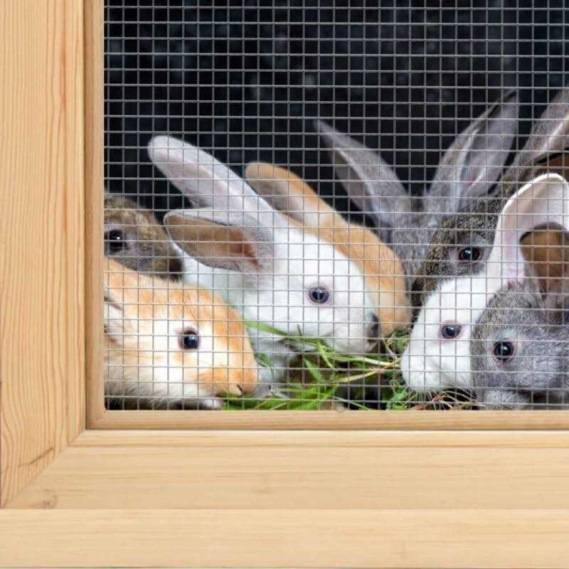 AMAGABELI Garden & HOME Hardware Cloth 1/2 inch 48inx50ft 19 Gauge Square Chicken Wire Galvanizing After Welding Fence Mesh Roll Raised Garden bed - Image 4