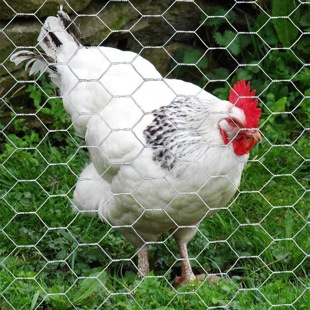 MTB Supply Mtb 20ga Galvanized Hexagonal Poultry Netting Chicken Wire 36 inches x 150 feet x 1 inch Mesh - Image 5