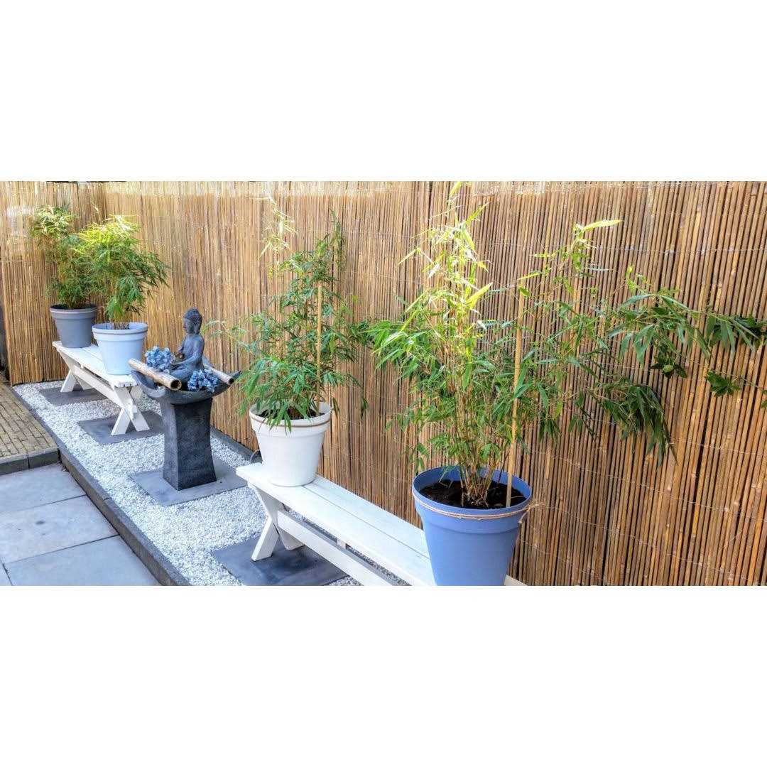 MGP Bamboo Slat Fence - Image 4