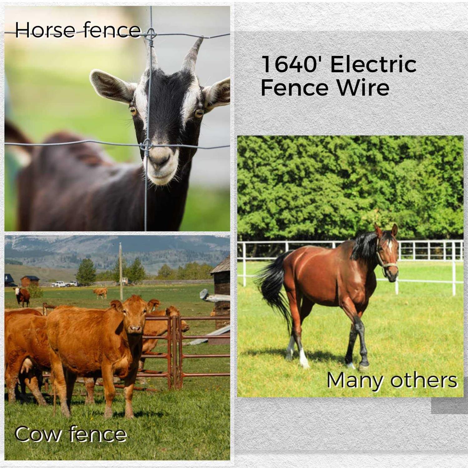 Electric Fence Polywire, Homaisson 500/1000 Meter Electric Fence String, 6 Stainless Steel Strands for Reliable Conductivity and Rust - Image 4