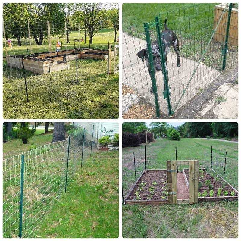 Jantens 12 Pack Metal Fence Post Sturdy Duty U Post - Image 5