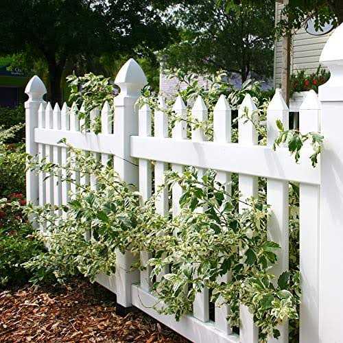 Nuvo Iron NYS30B Yard and Lawn Spike with In-Ground Post Support - Image 4