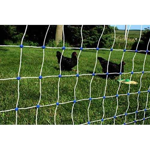 Starkline 3.5 ft. x Premium Electric Poultry Netting - Image 5